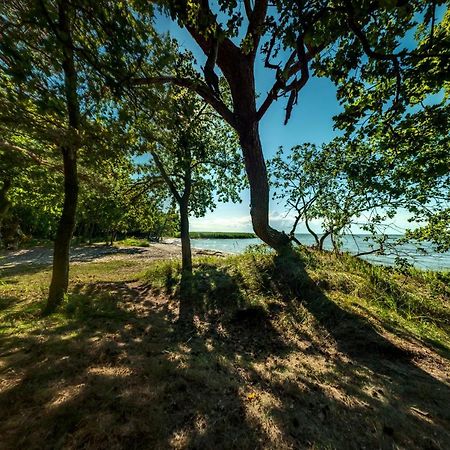 Traumhaff Kuestenchalets - Einzigartige Chalets An Der Ostsee. Ganz Aus Laerchenholz Mit Kamin Und Sauna Vogelsang-Warsin 외부 사진