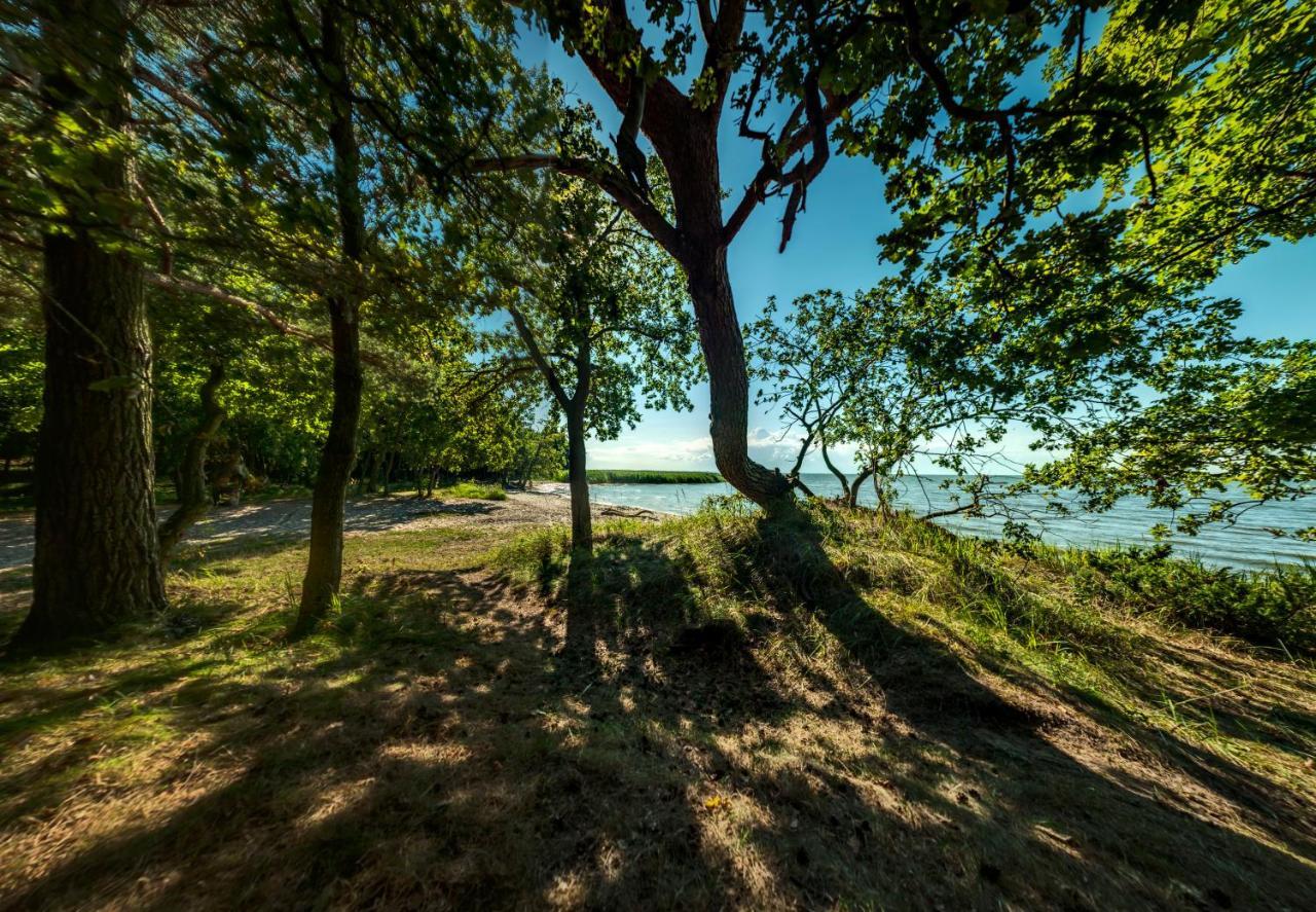 Traumhaff Kuestenchalets - Einzigartige Chalets An Der Ostsee. Ganz Aus Laerchenholz Mit Kamin Und Sauna Vogelsang-Warsin 외부 사진